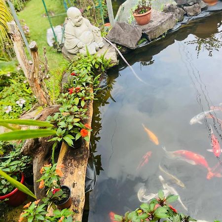 Chambres D'Hotes L'Orchidee Rose Salazie Exteriér fotografie