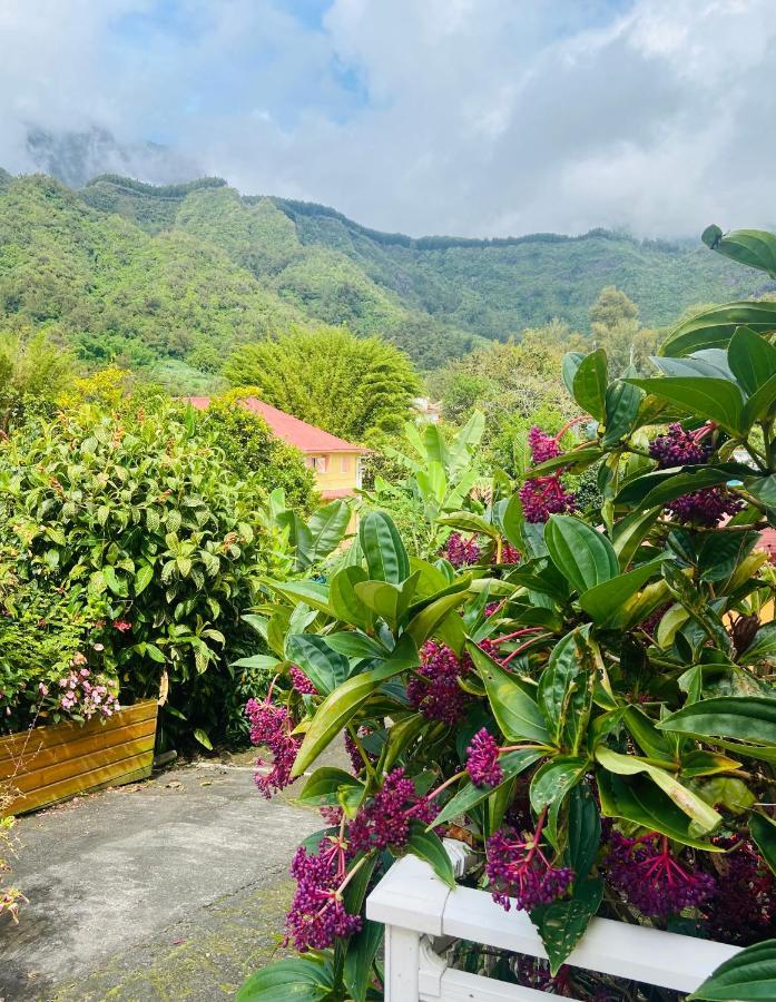 Chambres D'Hotes L'Orchidee Rose Salazie Exteriér fotografie