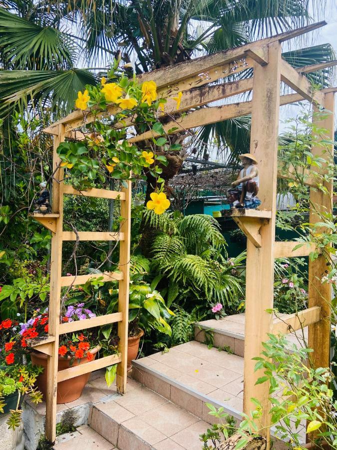Chambres D'Hotes L'Orchidee Rose Salazie Exteriér fotografie