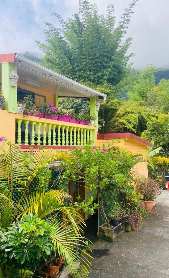 Chambres D'Hotes L'Orchidee Rose Salazie Exteriér fotografie
