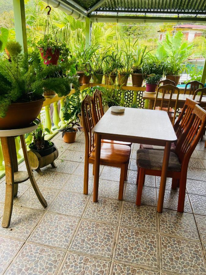 Chambres D'Hotes L'Orchidee Rose Salazie Exteriér fotografie