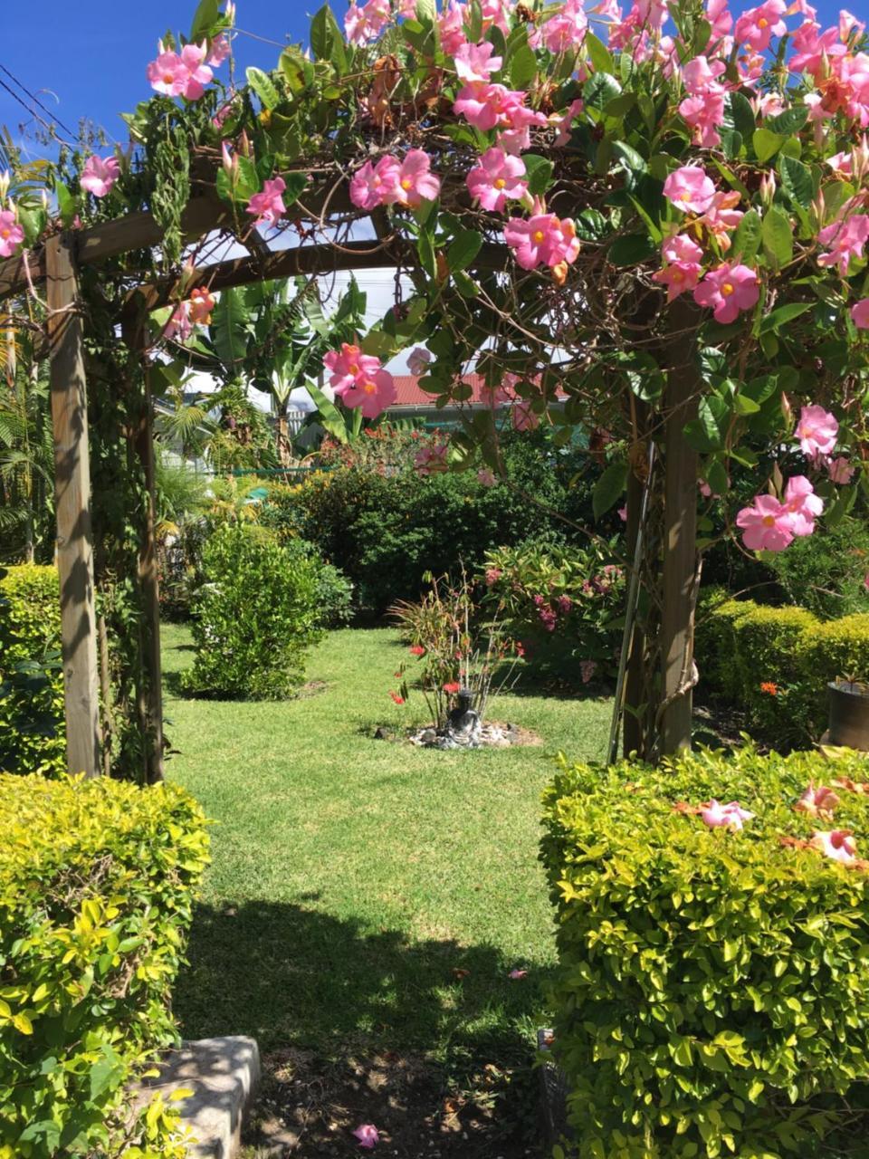 Chambres D'Hotes L'Orchidee Rose Salazie Exteriér fotografie